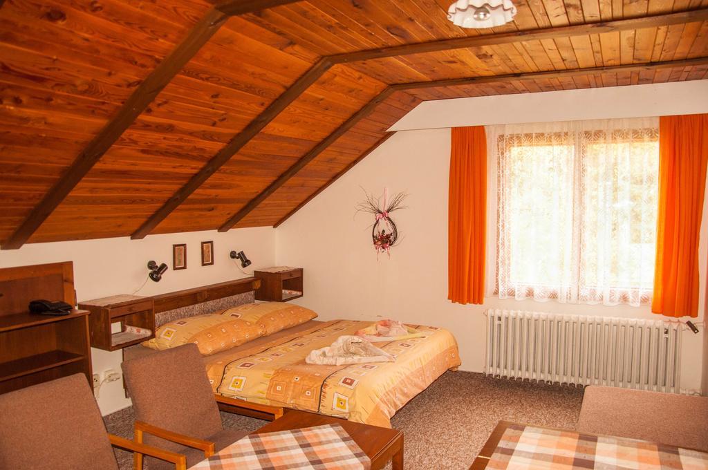 Hotel Privát - Harrachov 392 Habitación foto